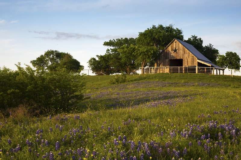 Bluebonnet Trail 